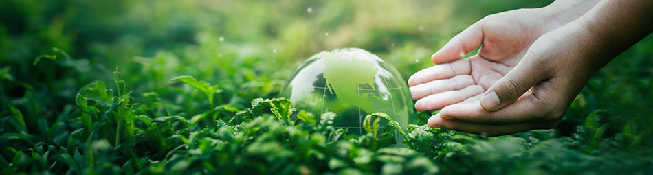 Hands with glass globe lying in plant growth