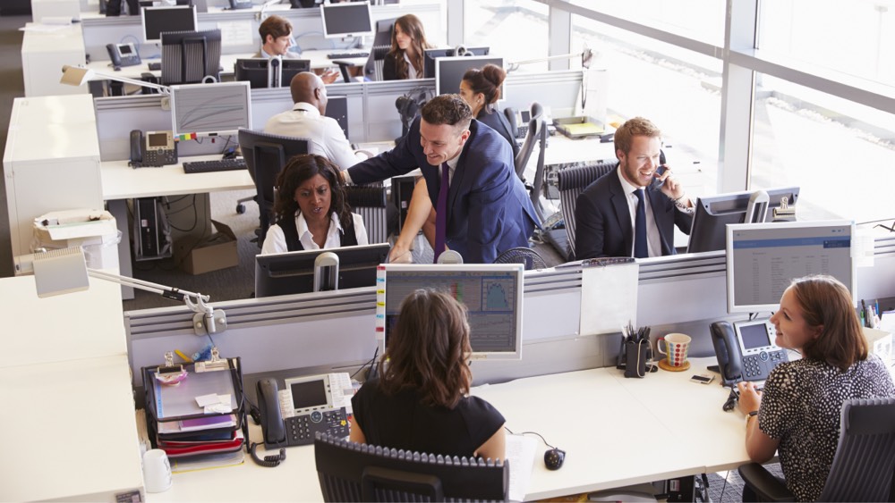 IT Team in an office